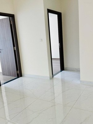 cho thuê căn hộ diamond centery 2pn- nhà mới