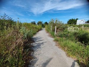 bán nhanh lô đất rẻ vĩnh trung chính chủ, diện tích 112,5m đường oto, hướng đông bắc