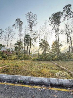 chính chủ em cần bán gấp mảnh đất 75m2 full thổ cư tại tiến xuân - thạch thất