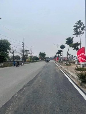 bán đấu giá thuỵ lâm - mặt đường kinh doanh liên xã