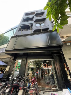 xuất cảnh bán gấp - bán nhà trần quang khải 120m² 5 tầng - 32 tỷ