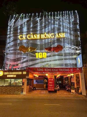 xuất cảnh bán gấp - bán nhà đào duy anh 181.5m² 5 tầng - 75 tỷ