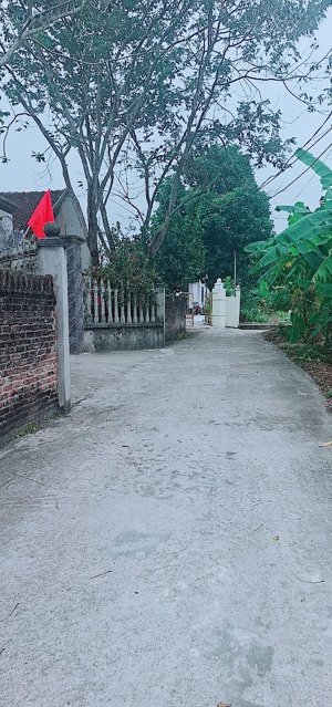 bán đất hai măt tại thị trấn thắng, hiệp hòa, bắc giang, 850 triệu, 110 m2, mặt tiền 6m, view đẹp