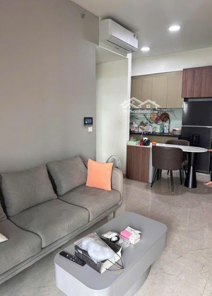 celesta rise 1pn 48m | 1wc | 4.350 tỷ