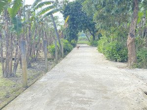 đất hương an ngay đường chính lý thần tông chỉ 750tr 118m2