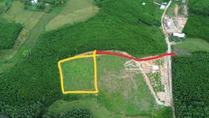 đất rộng 4600m2 có 300m2 đất ở gần dt602 gần khu thương mại tự do