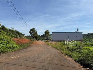 cần bán gấp xã hoà ninh, di linh, lâm đồng, 2,25 tỷ