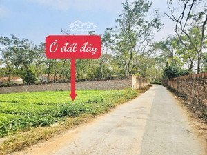 đất nền 110m2 thổ cư 80 tại xã tam quan, 790 triệu, vĩnh phúc