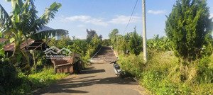 cần xoay vốn bán gấp xã hoà ninh, di linh, lâm đồng, 1,25 tỷ