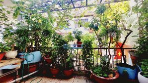 nhà 3 tầng, hxh 5m, khu vip trần não. chỉ 10.9 tỷ.