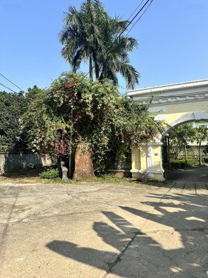 cơ hội hiếm 720m full thổ cư phân lô cực đẹp vị trí vàng tại hoà lạc sát đại học quốc gia hà nội