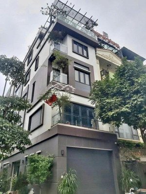 (cực phẩm) - phân lô hoàng quốc việt - lô góc 3 thoáng - cạnh kđt starlake 121m2 mặt tiền 9m 58 tỷ