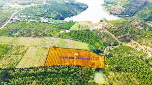 Rẫy trung tâm Gia Nghĩa sát farm EVA bằng tuyệt đối, có hồ, nghỉ dưỡng tuyệt vời