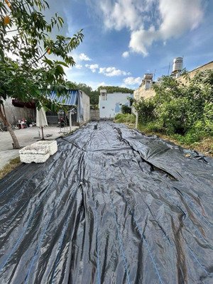 đất phước đồng ngay trung tâm đường ô tô