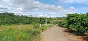 ngộp bán gấp lô xã hoà ninh, huyện di linh, lâm đồng, 2,275 tỷ
