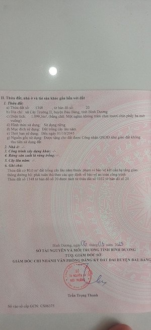 bán đất tại đường dh614, xã cây trường ii, bàu bàng, bình dương, giá tốt 4,2 tỷ, 1099 m2