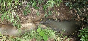 bán 6 sào đất trái cây, giáp suối, có thổ cư, cách mỹ xuân ngãi giao 800m