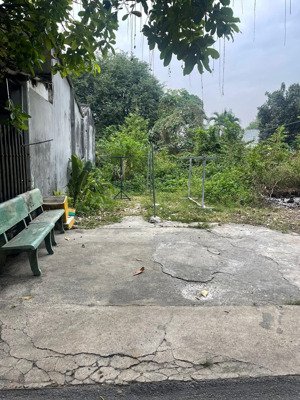 siêu hiếm sót lô đất hẻm 385 5x30m giá 2.3tỷ ko quy hoạch. đường nhựa oto thông. xây nhà ở quá đẹp