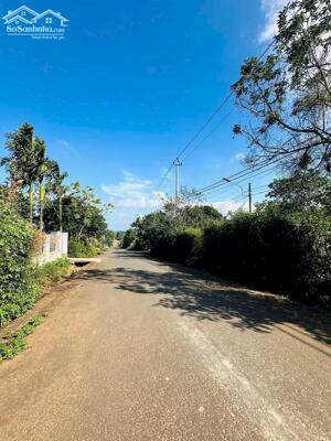 10x50 phường Tân Lập đường nhựa KomLeo gần sân bay