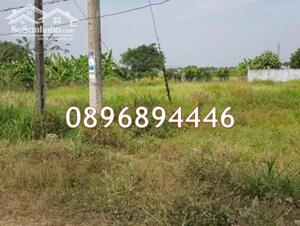 ⭐️Chính chủ bán Lô đất mặt tiền Đ.Quách Văn Tuấn (P.5, Tp.Tân An), p. Long An, Tây Ninh (mới), 0896894446