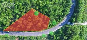 BÁN VƯỜN XOÀI – MẶT TIỀN TỈNH LỘ 8 Diên Lâm – Diên Khánh Diện tích: 1.807 m²