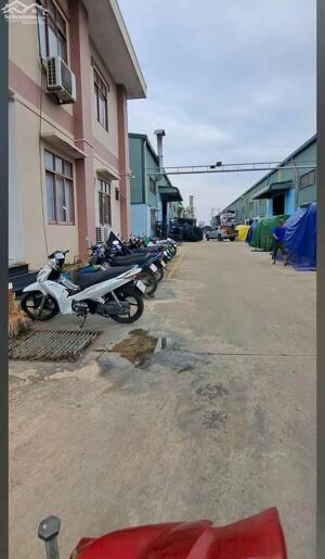 BÁN XƯỞNG CHO NHÀ ĐẦU TƯ TRONG KCN BÌNH DƯƠNG (BX64)