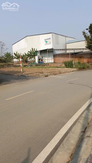 Bán lô góc 100m2 Tân Xã Hoà Lạc Đối Diện FPT, Gần Metro 5 giá chỉ nhỉnh 4 Tỷ