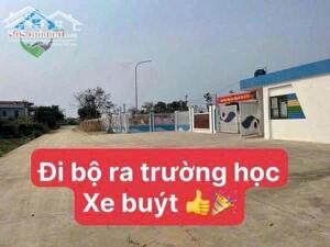 Chính chủ gửi bán đất Tiên Lữ Dân Hòa Thanh Oai, hơn 2 tỷ lô 50m2 ngõ ô tô