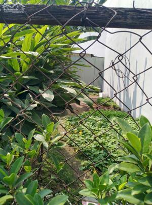 Bán Lô Đất Vị Trí Đẹp, DT 5M x26M, sổ riêng, quy hoạch Đất ở, kp2 phường Trảng Dài.