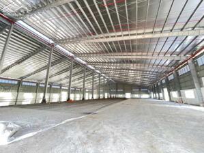 CHO THUÊ KHO XƯỞNG NGUYỄN HỮU TRÍ, BẾN LỨC GIÁP BÌNH CHÁNH 6000M2- PCCC NGHIỆM THU- ĐƯỜNG CONT 24H