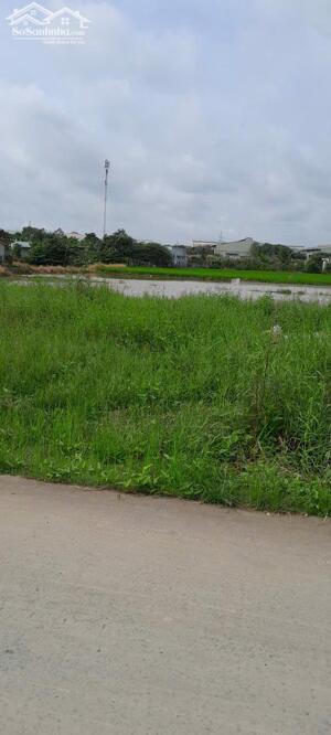 Bán nhanh lô đất thổ 8.8 x 25 ngay đường Nguyễn Trung Trực, Bến Lức - 17tr/m2, shr