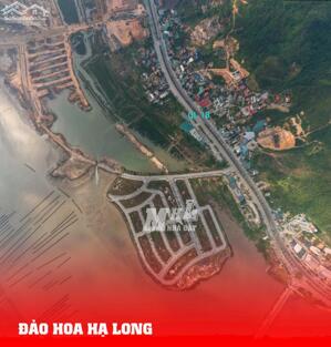 Cần bán 5 ô góc dự án đất nền biệt thự Đảo Hoa Island Hạ Long, Quảng Ninh giá từ 59 triệu/m2