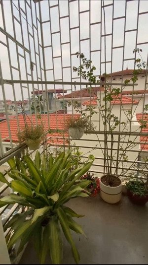 nhà đẹp cổng riêng mp hưng phúc, hoàng mai, 71 m2, ô tô, mt 4.3m, 13.5 tỷ