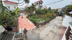 hàng hiếm sẵn chia lô 371m2 thụy hương nội bài. ngõ thông ô tô tránh