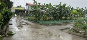 hàng hiếm tại xã phú sơn, gia lâm, hà nội, giá thỏa thuận, 3000 m2