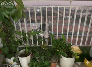 Chính chủ bán gấp – căn hộ 2pn ban công đông nam – Chung Cư Thanh Hà