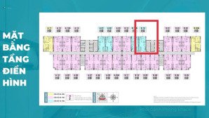 chính chủ bán căn 1 ngủ dt: 46m2 hot nhất phenika hoà lạc, tầng đẹp giá nhỉnh 2tỷ. lh 