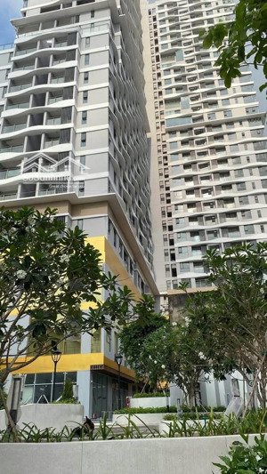 bán nhanh căn hộ 3pn+ 110m2 chỉ 8tỷ4 all in d-homme hồng bàng quận 6, trả trước 30%,tặng nt 500tr