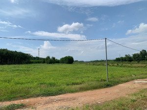 bán đất rẫy 2 mẫu 2 bà tá, gia huynh, tánh linh.