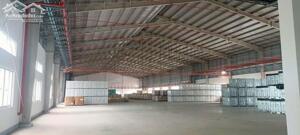 CHO THUÊ KHO XƯỞNG 8000m²- PCCC TỰ ĐỘNG- KCN TÂN KIM, CẦN GIUỘC, LONG AN