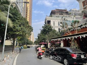 biệt thự roman plaza tố hữu, không gian sống đẳng cấp, 197,3m2, mt 11m, 4 tầng, giá đầu tư 49.8 tỷ