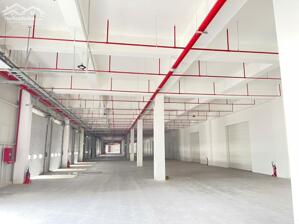 CHO THUÊ KHO XƯỞNG 8000m²- PCCC TỰ ĐỘNG- KCN TÂN KIM, CẦN GIUỘC, LONG AN