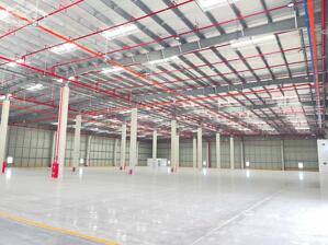 CHO THUÊ KHO XƯỞNG NGUYỄN HỮU TRÍ, BẾN LỨC GIÁP BÌNH CHÁNH 6000M2- PCCC NGHIỆM THU- ĐƯỜNG CONT 24H