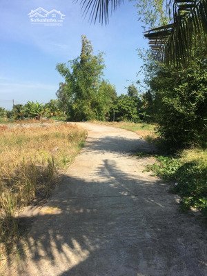 cần bán 1015.5m2 đất lúa p vĩnh thông lộ đan 3.5m