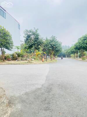  BÁN ĐẤT LÔ GÓC KHU A NAM ĐẦM VẠC, VĨNH YÊN, VĨNH PHÚC 