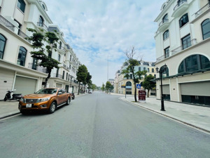 siêu hời! liền kề sao biển ocean park 2 đường 20m kinh doanh, gần 400m2 sàn, mt 8m - sát 44 tòa cc