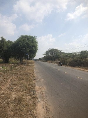 lô góc ngay mt dh519 cuối năm giảm nhanh 50 triệu - 260 triệu sở hữu ngay