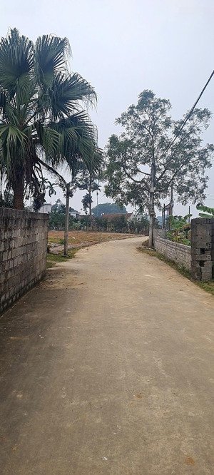 bán đất tại xã hoàng văn thụ, chương mỹ, hà nội, giá cực chất 13 triệu / m2, 141 m2