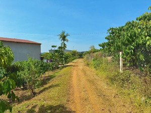 bán gấp tại xã hoà ninh, di linh, lâm đồng, 1,2 tỷ, cơ hội đầu tư tốt chỉ với giá hợp lý