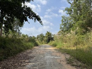 bán đất cửa lấp, khu tây phú quốc, gần chợ đêm 3500m2 làm homestay siêu đẹp, giáp rừng, giá 13tr/m2